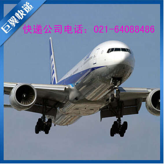 選擇我、就是邁向成功，TNT上海直飛國際貨運！