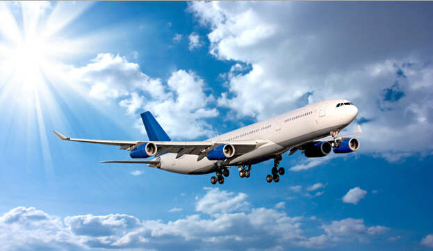 美國國際快遞空運-寵物空運小知識！